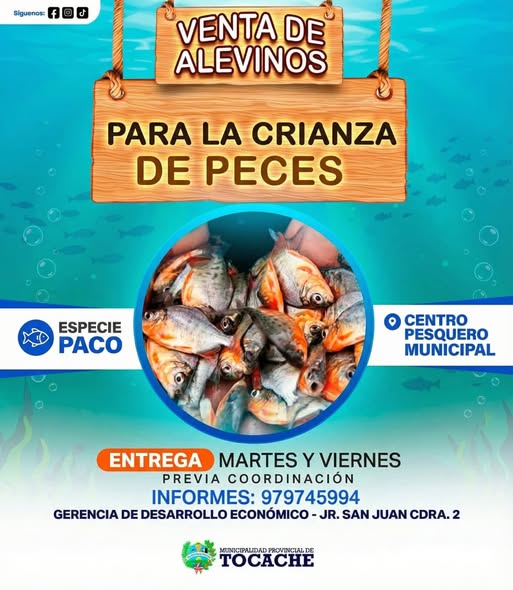 ¡Impulsa tu propio negocio piscícola en Tocache! Venta de alevinos de especie Paco