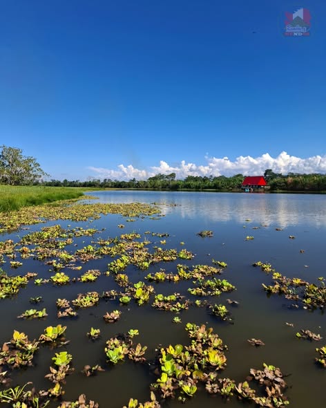 Laguna de Huairanga